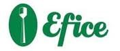 logo_efice